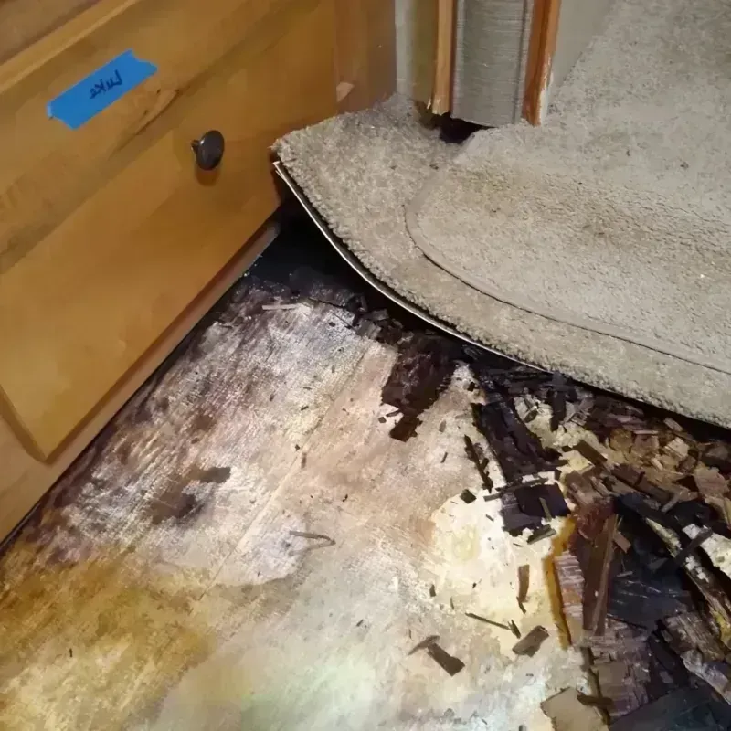 Best Wood Floor Water Damage Service in Abilene, KS